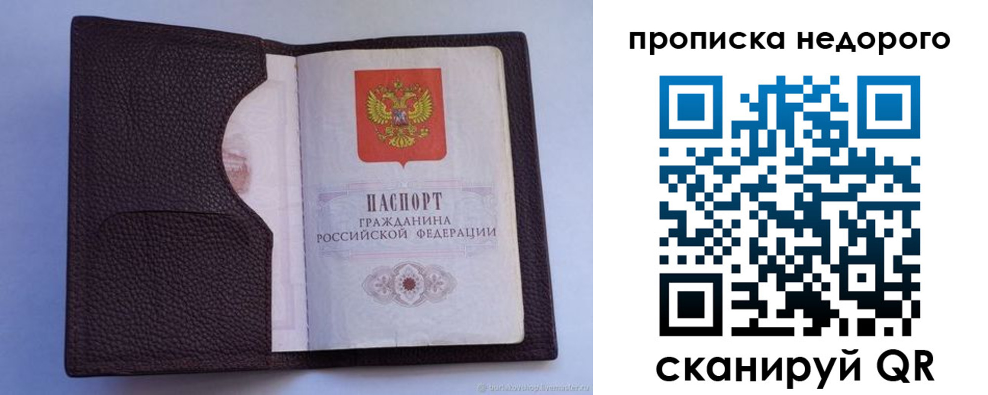 прописка законно в Алексеевке